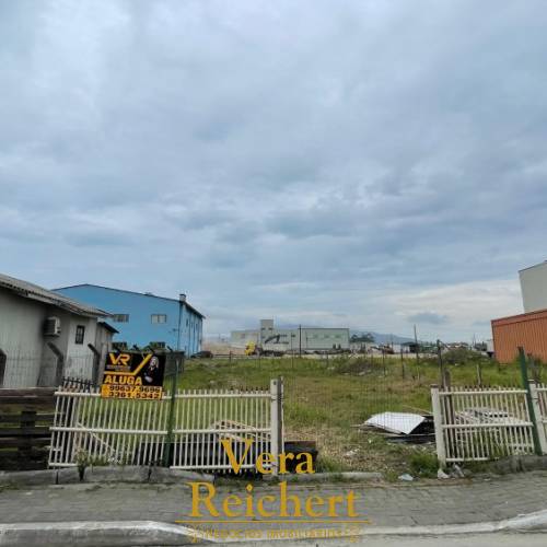 TERRENO LOCAO ANUAL - RUA 444