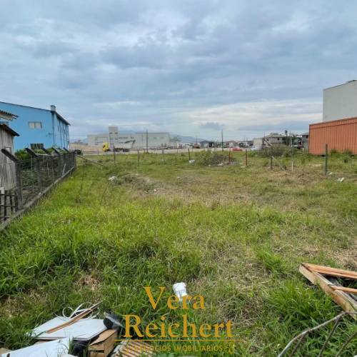 TERRENO LOCAO ANUAL - RUA 444